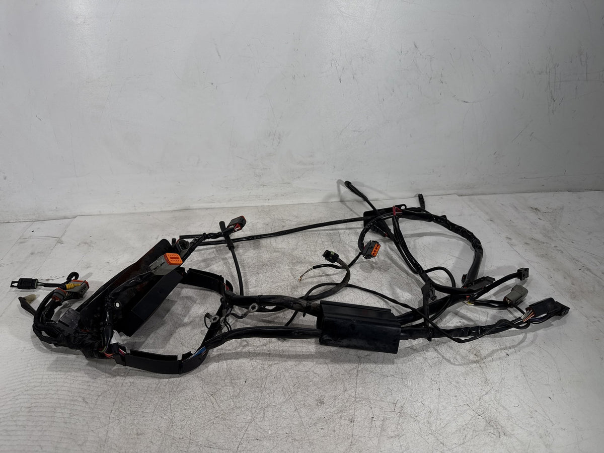 2001 Harley Fat Boy Softail FLSTF OEM Main Wire Wiring Harness Loom CARB