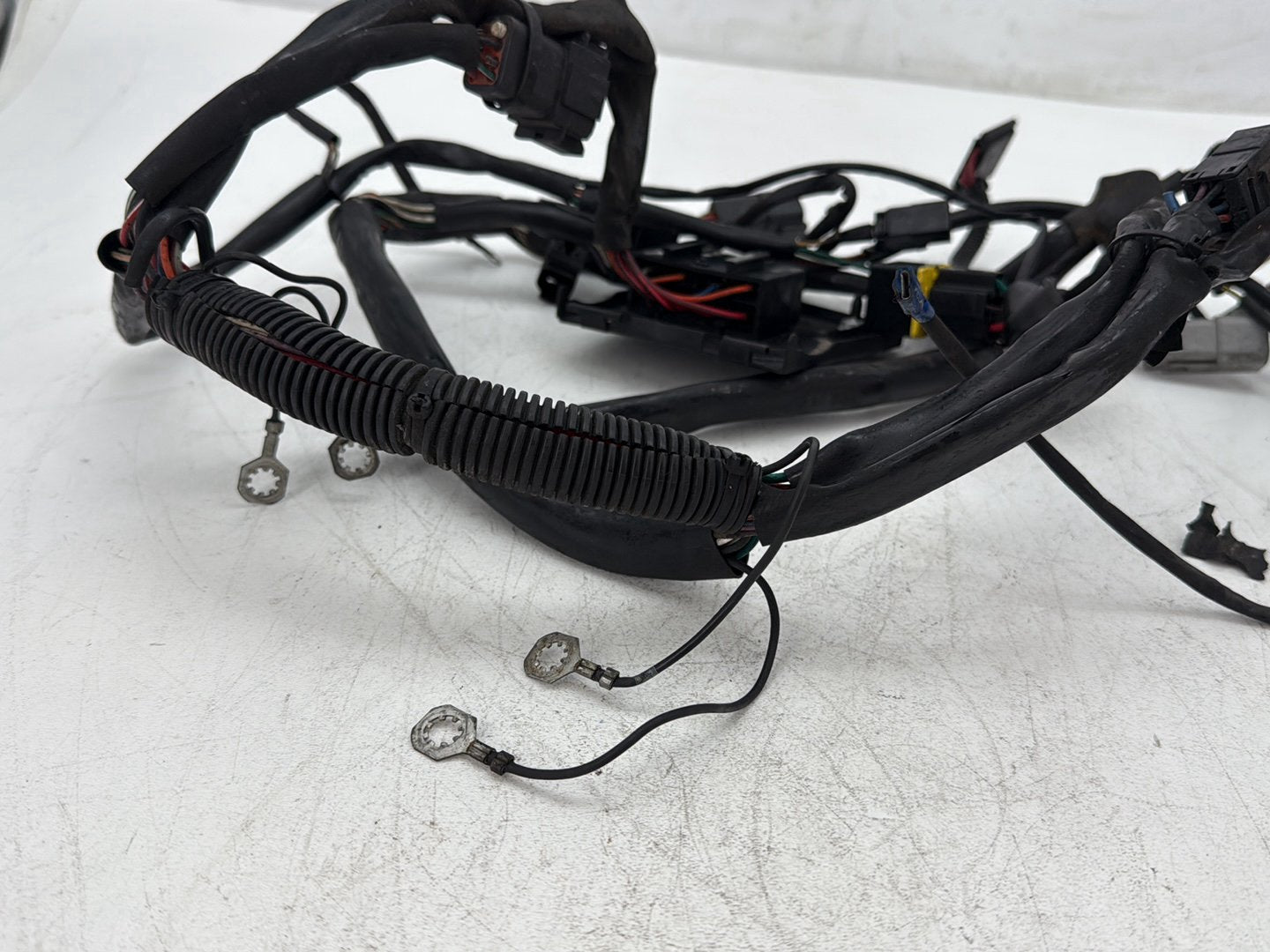 1997 Harley Softail Fat Boy FLSTF OEM Main Wire Wiring Harness Loom CARB