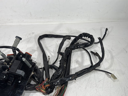 2003 Harley Dyna Wide Glide FXDWG OEM Main Wire Wiring Harness Loom