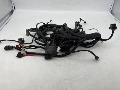 1999 - 2006 Harley-Davidson Touring CVO Screamin Eagle Road King Main Wire Wiring Harness Loom 70245-03