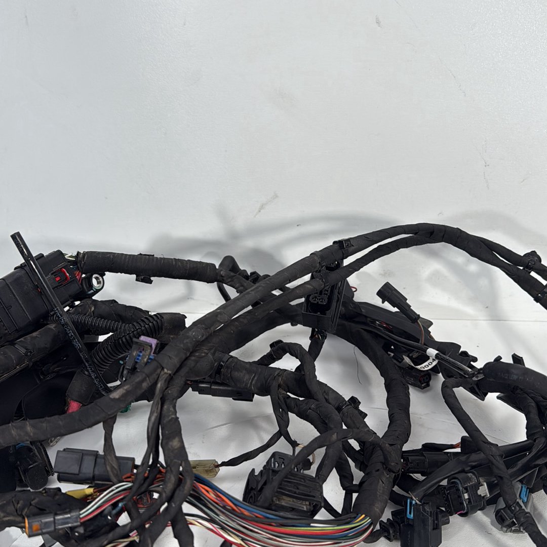 2017 - 2026 Harley-Davidson Softail Heritage Classic 114 Main Wire Wiring Harness Loom ABS 69201492