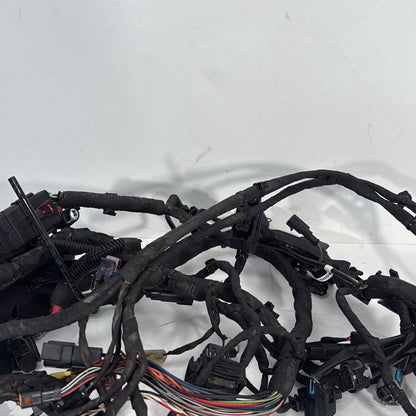2017 - 2026 Harley-Davidson Softail Heritage Classic 114 Main Wire Wiring Harness Loom ABS 69201492