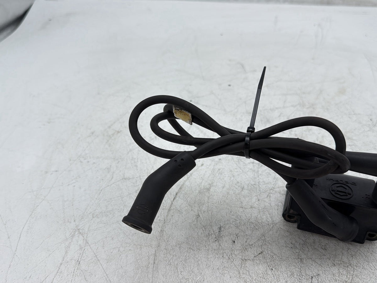 2009 Harley Street Glide Touring FLHX OEM Ignition Coil Spark Plugs Cable