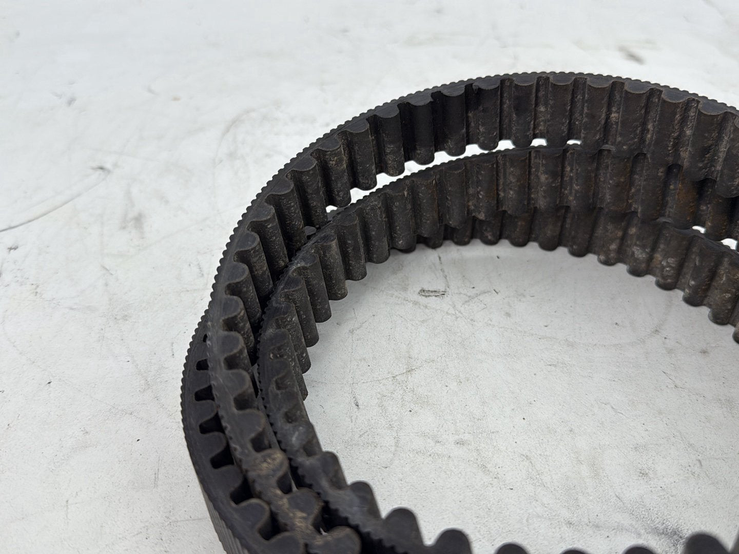 2002 Harley Heritage Softail Classic FLSTC OEM Rear Drive Belt