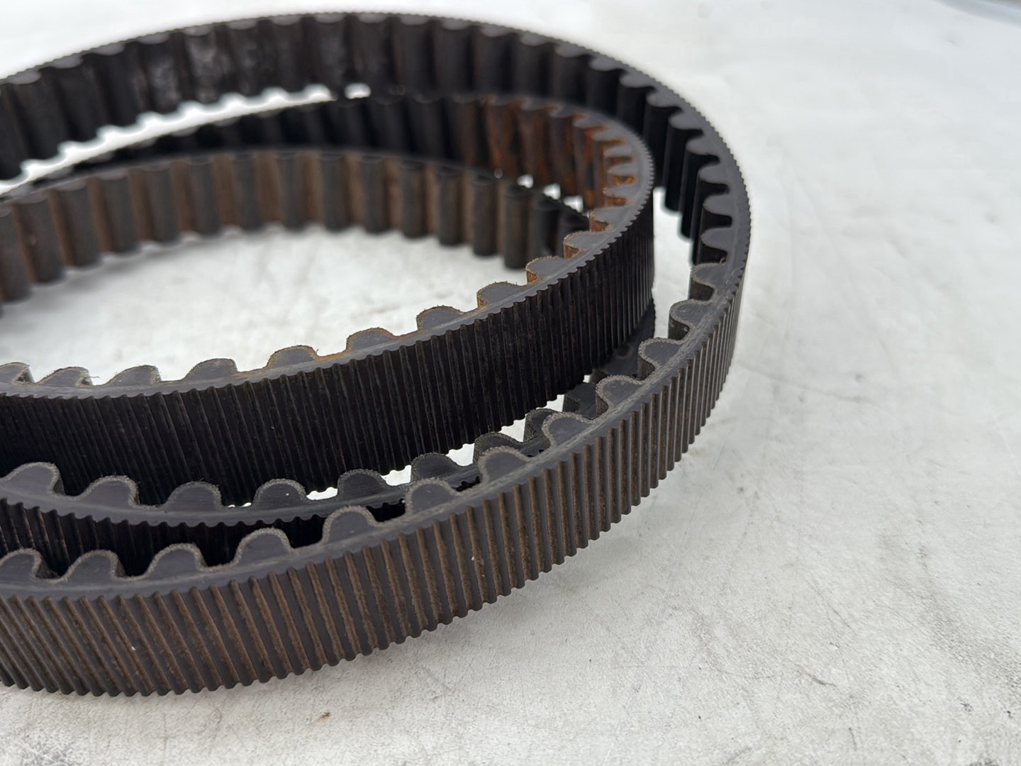 2012 Harley Dyna FXDF Fat Bob OEM Rear Drive Belt