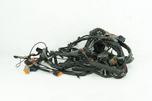 1999 - 2006 Harley-Davidson Touring Electra Glide Ultra Main Wire Wiring Harness Loom 70985-00