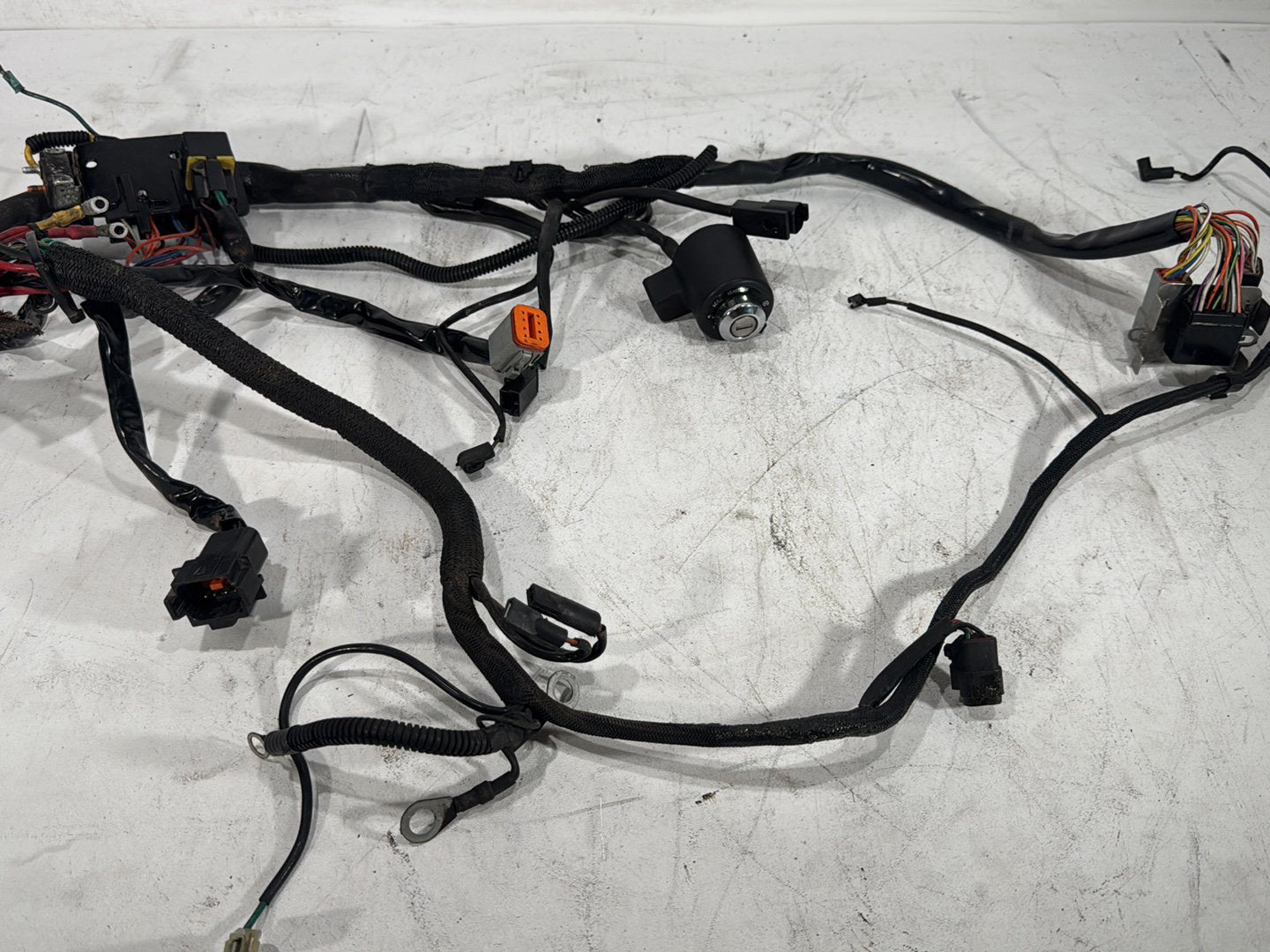 1997 Harley Sportster 1200 Custom XL1200C OEM Main Wire Wiring Harness Ignition Switch NOKey