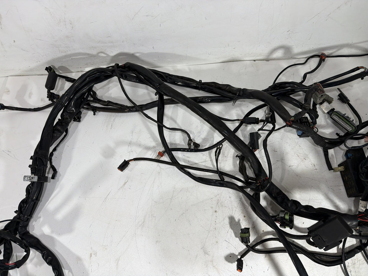 2004 Harley Electra Glide Touring Ultra OEM Main Wire Wiring Harness Loom