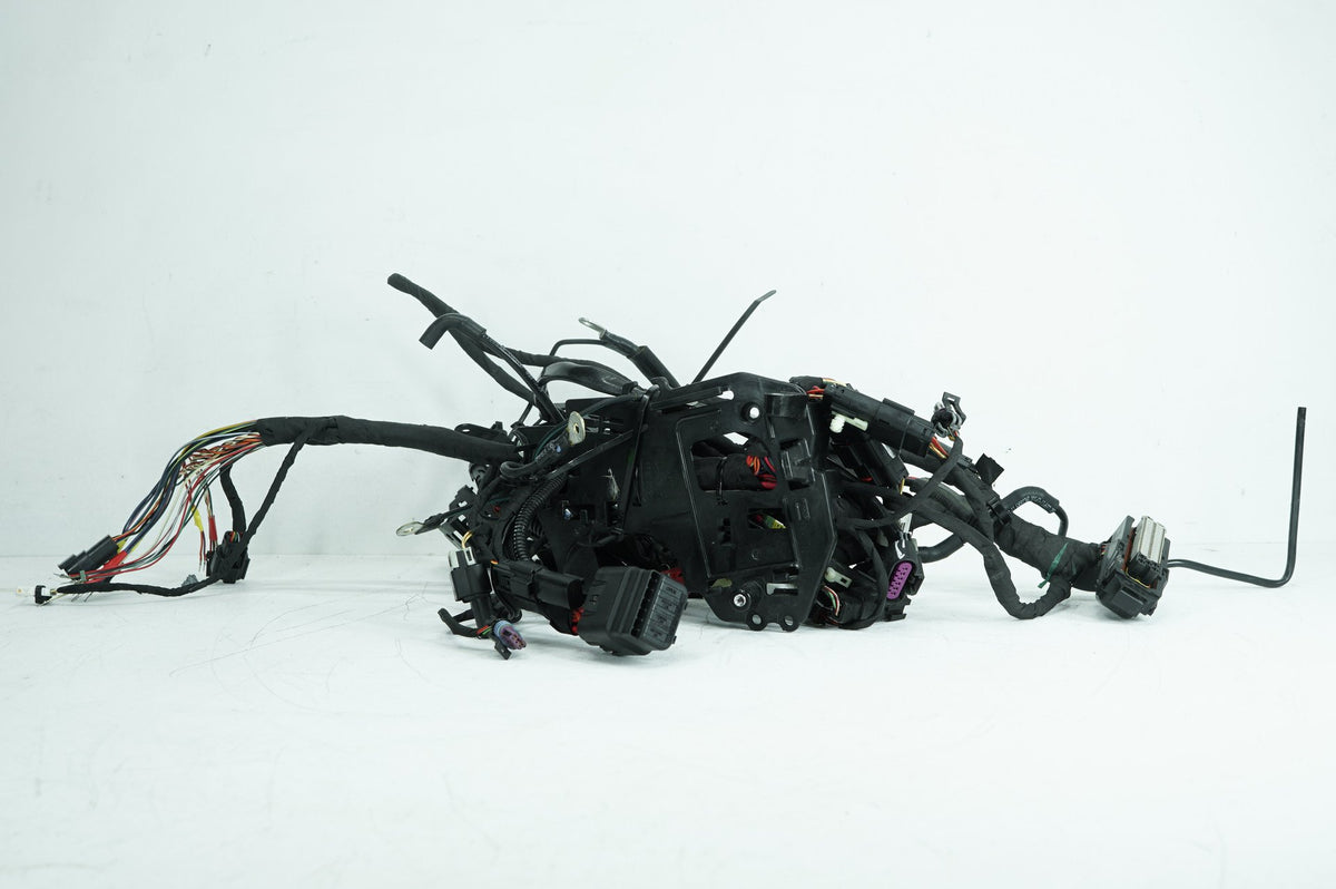 Main Wire Wiring Harness Loom, 69202197, 2024, Harley-Davidson, Softail, Standard, FXST
