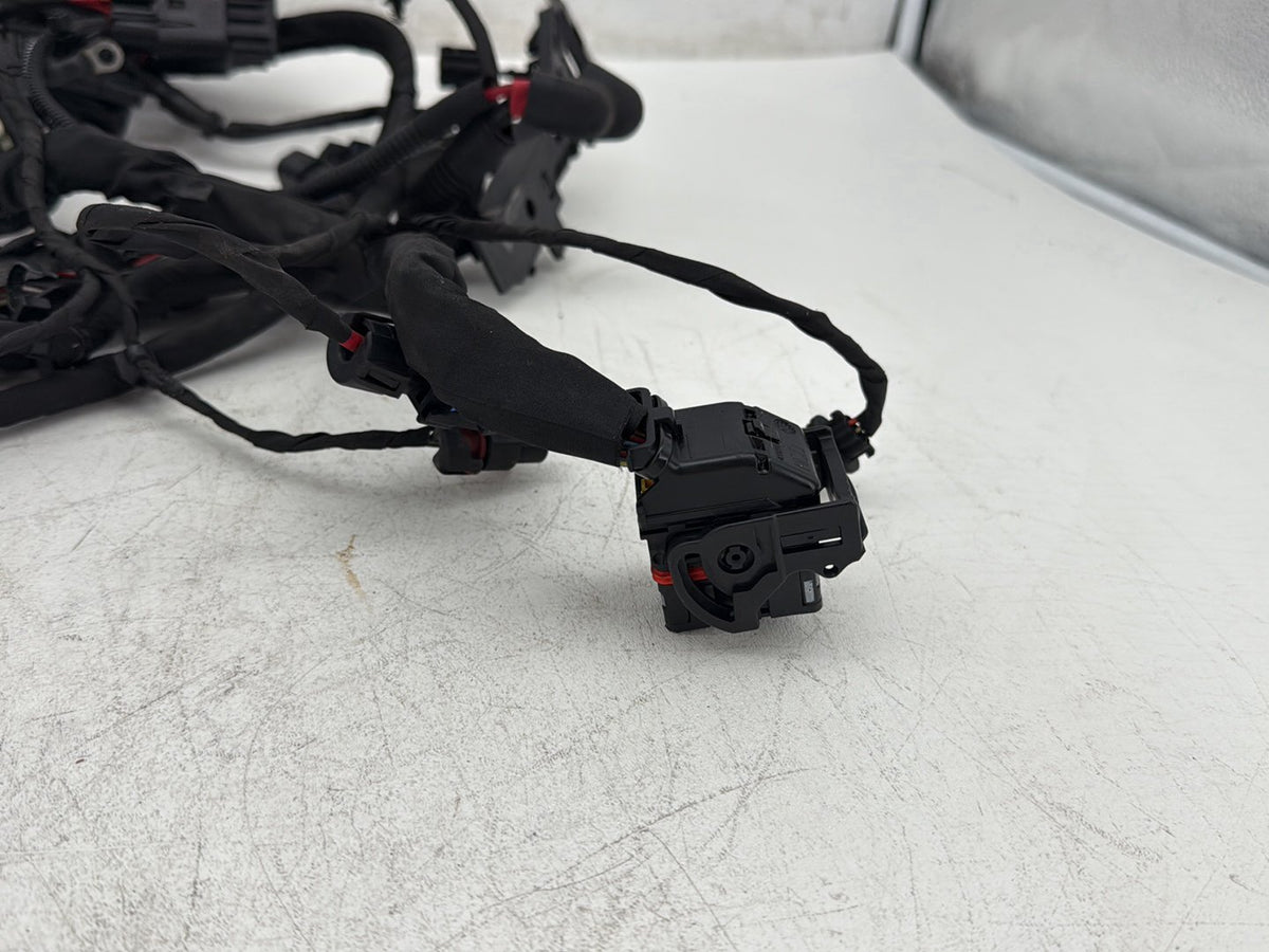 2019 Harley Softail Street Bob FXBB OEM Main Wire Wiring Harness Loom NON-abs