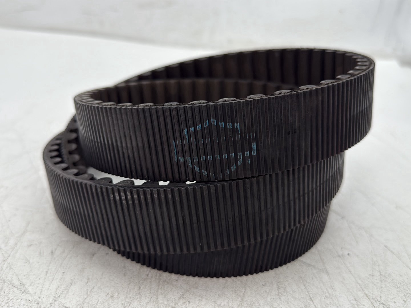 1998 Harley Softail Custom FXSTC OEM Rear Drive Belt