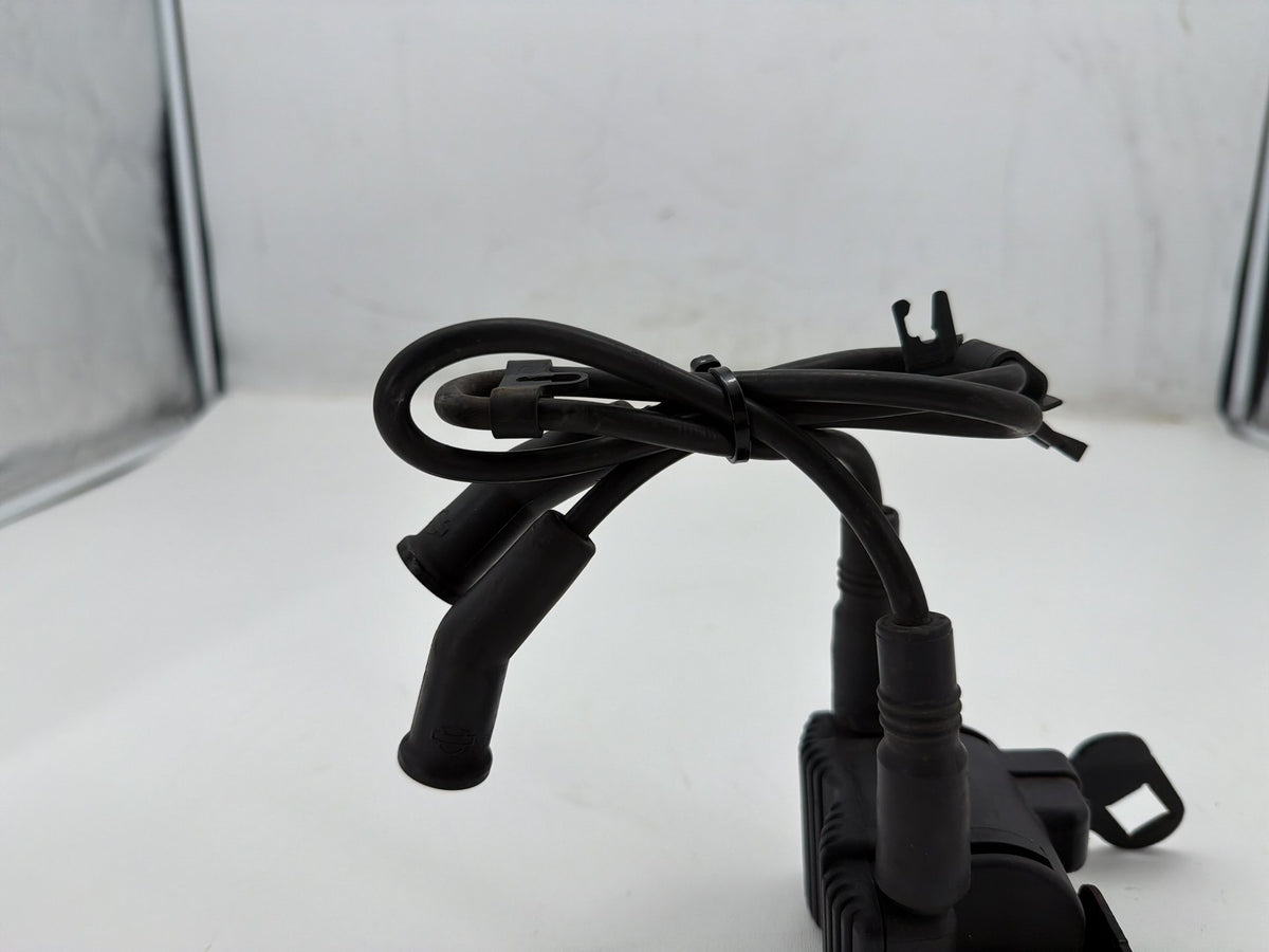 2006 Harley Electra Glide Touring Classic OEM Ignition Coil Spark Plugs Cable