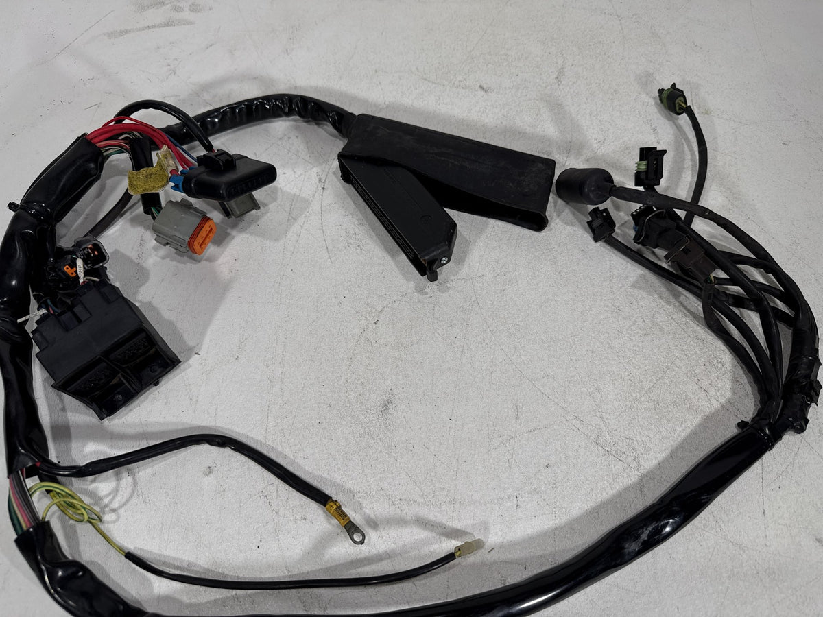 2001 Harley Electra Glide Touring Classic OEM Engine Bay Wire Wiring Harness
