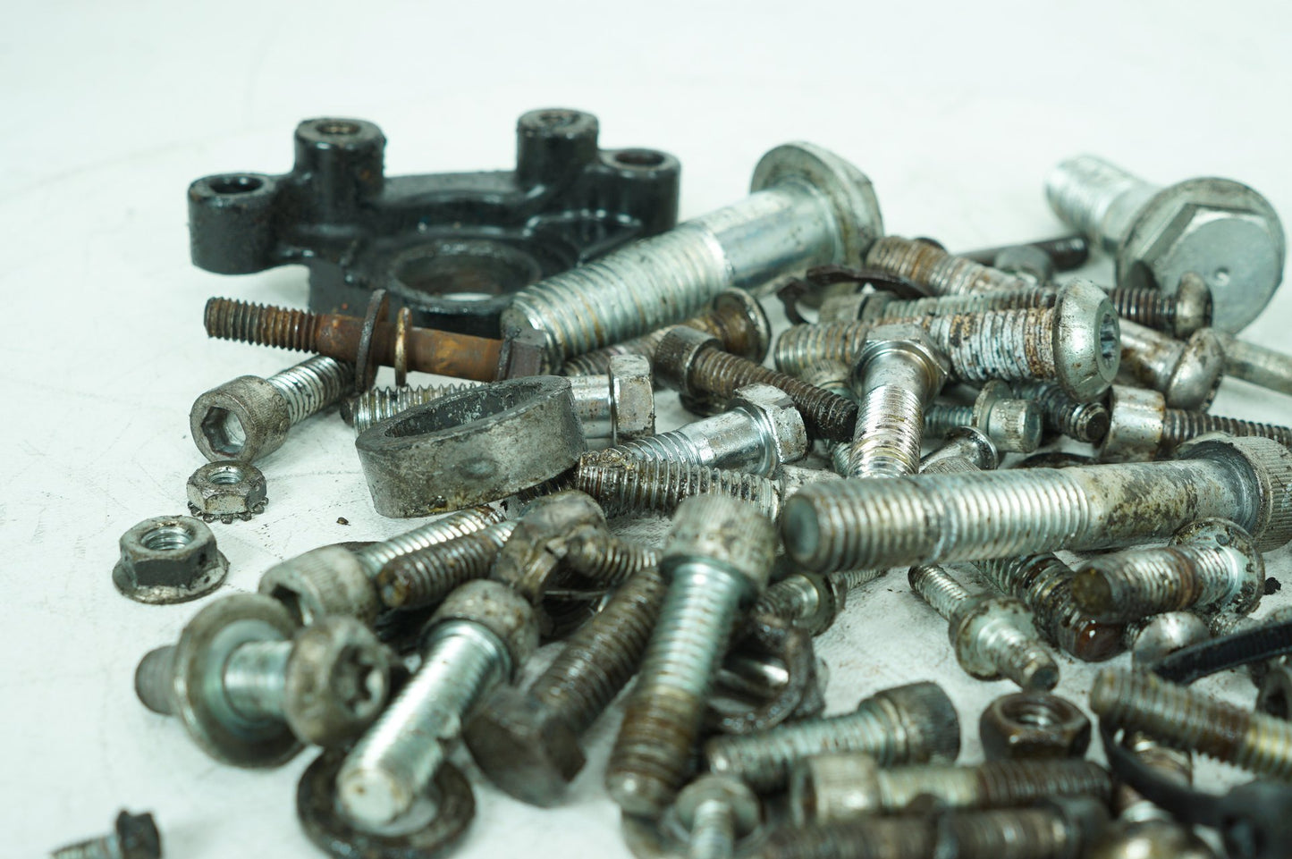 2004 - 2012 Harley-Davidson Sportster Custom Hardware Bolts Nuts & Brackets