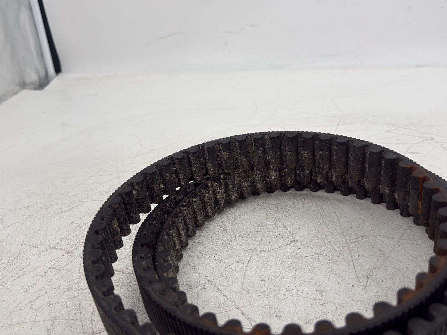 2004 Harley Touring FLHT Electra Glide OEM Rear Drive Belt
