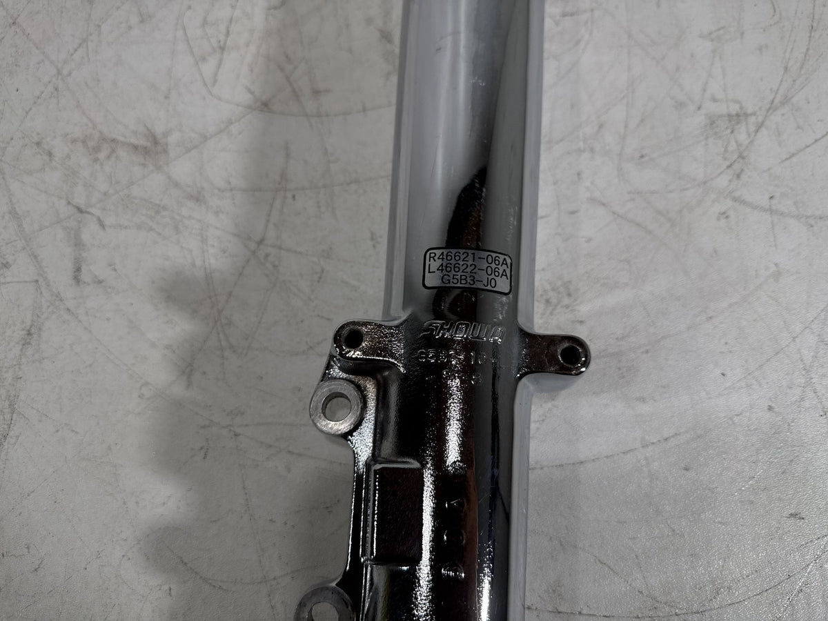 07 Harley Electra Glide Touring CVO Eagle OEM Front Left Fork 1 Slider Leg Tube