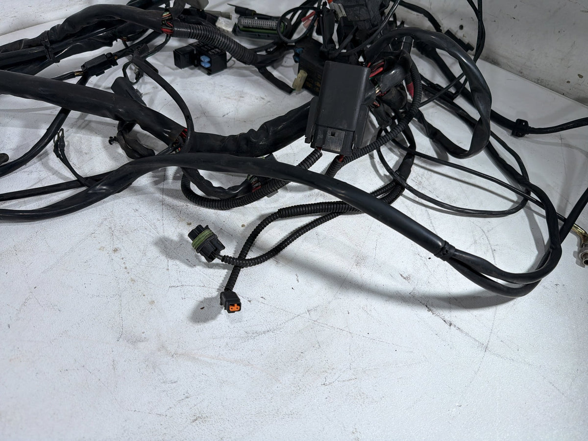 2004 Harley Electra Glide Touring Ultra OEM Main Wire Wiring Harness Loom