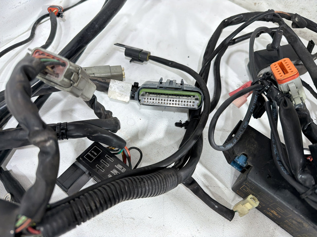 2004 Harley Electra Glide Touring Ultra OEM Main Wire Wiring Harness Loom
