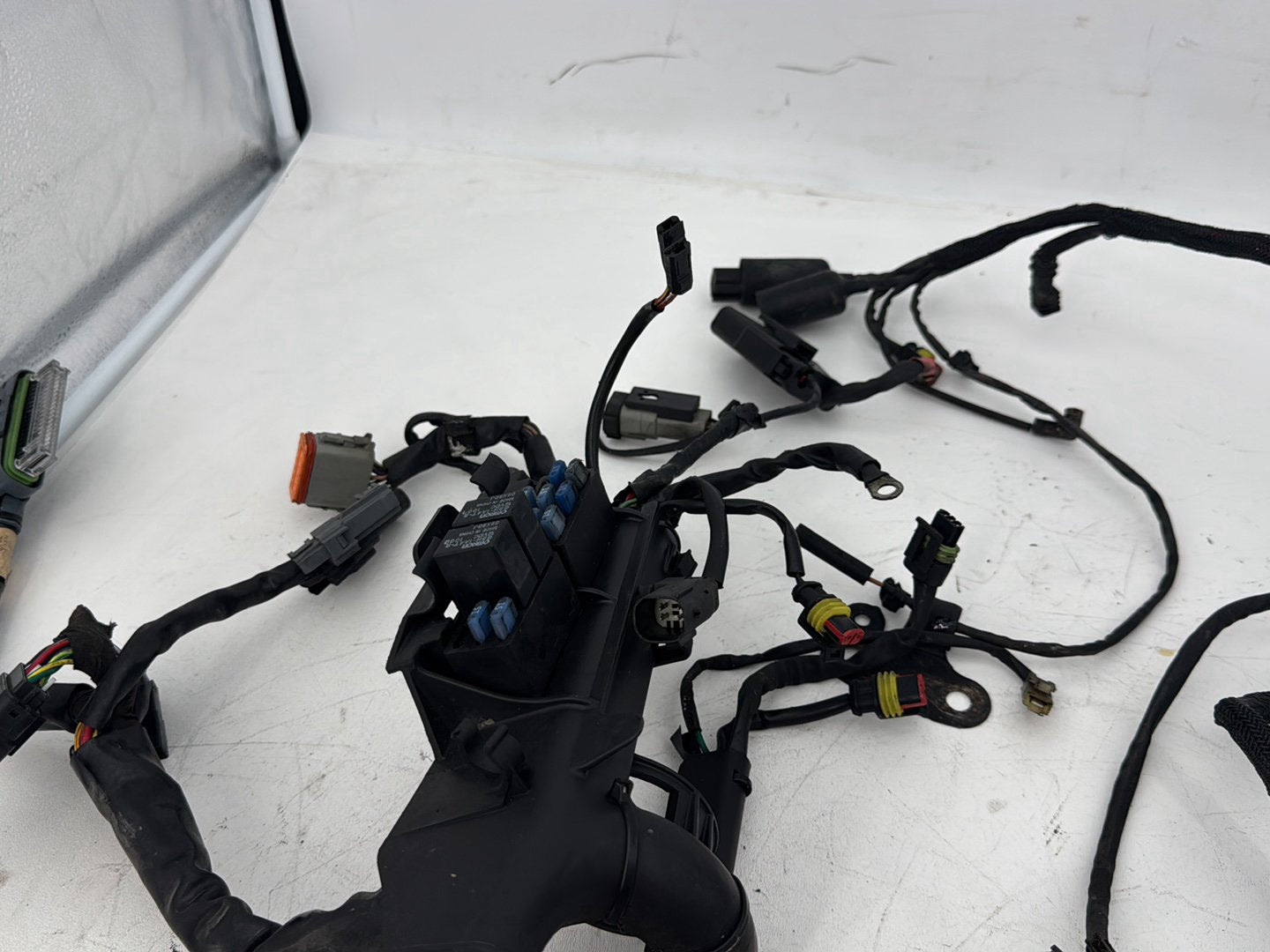 2009 Harley Sportster XL1200 1200 Main Wire Wiring Harness Ignition Switch NOKey