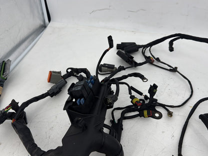 2009 Harley Sportster XL1200 1200 Main Wire Wiring Harness Ignition Switch NOKey