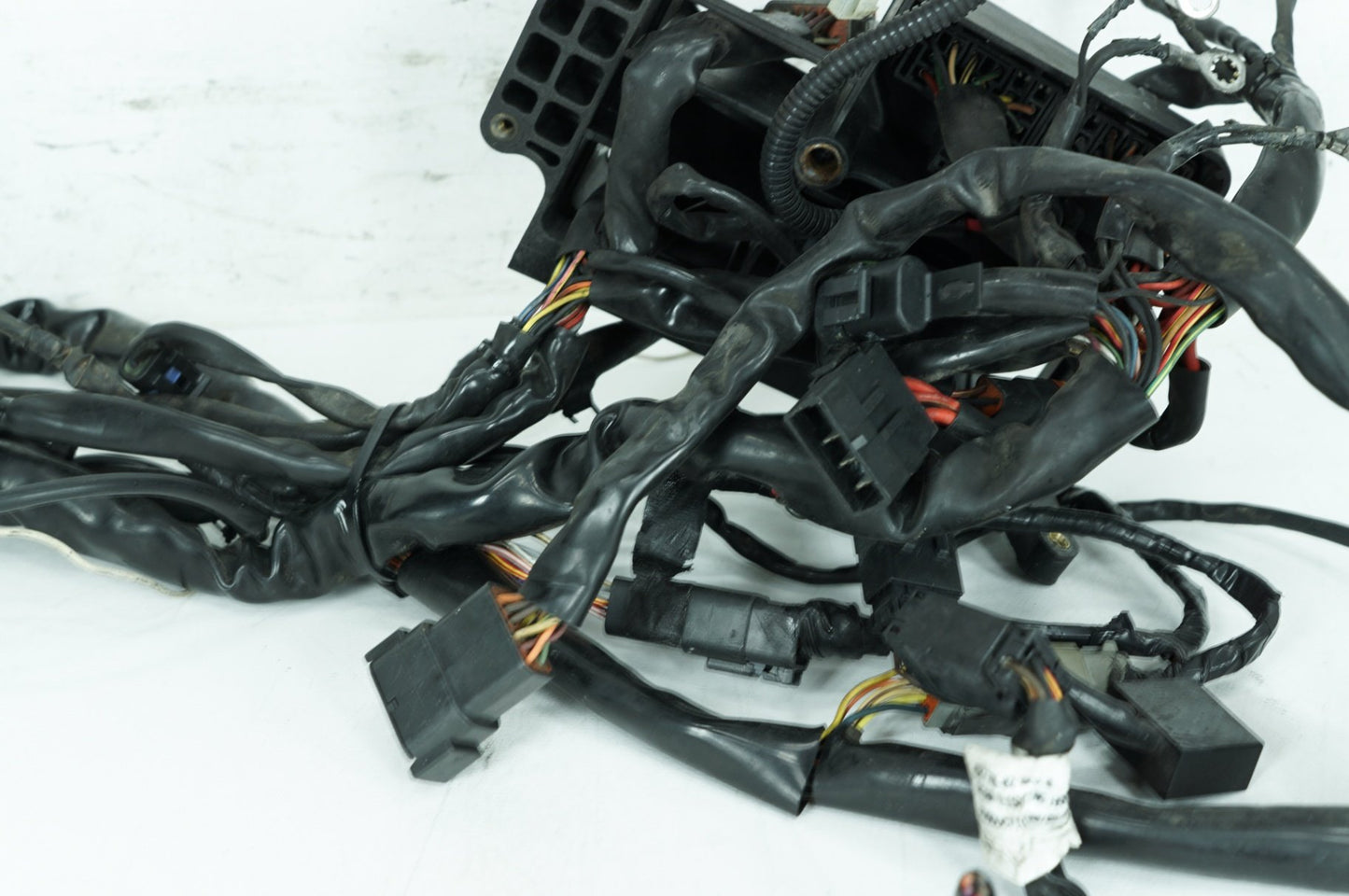 1999 - 2006 Harley-Davidson Dyna Low Rider Main Wire Wiring Harness Loom 69602-04A