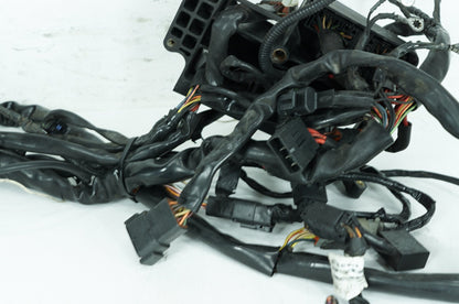 1999 - 2006 Harley-Davidson Dyna Low Rider Main Wire Wiring Harness Loom 69602-04A