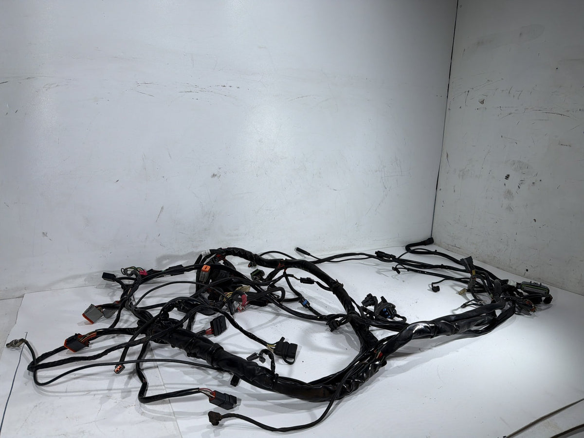 2004 Harley Electra Glide Touring Ultra OEM Main Wire Wiring Harness Loom
