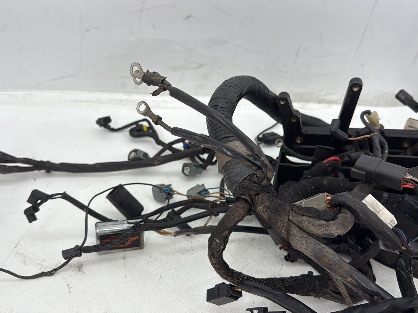 2006 Harley Dyna Super Glide Custom FXDCI OEM Main Wire Wiring Harness Loom
