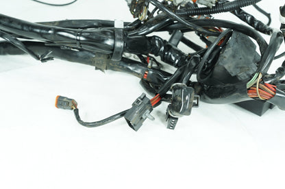 1999 - 2006 Harley-Davidson Touring Electra Glide Main Wire Wiring Harness Loom  	70985-02