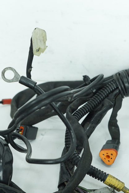 1999 - 2006 Harley-Davidson Softail Heritage Main Wire Wiring Harness Loom 70216-04A