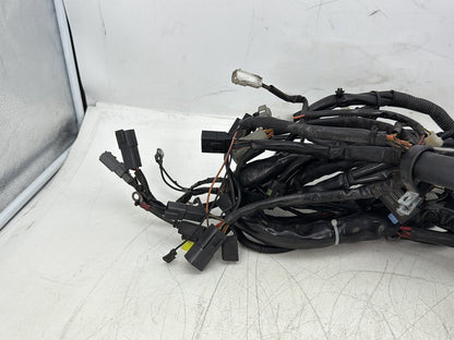 2004 Harley Road King Touring Custom FLHRSI OEM Main Wire Wiring Harness Loom