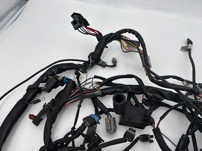 1999 - 2006 Harley-Davidson Touring Electra Glide Classic Main Wire Wiring Harness Loom 70985-01