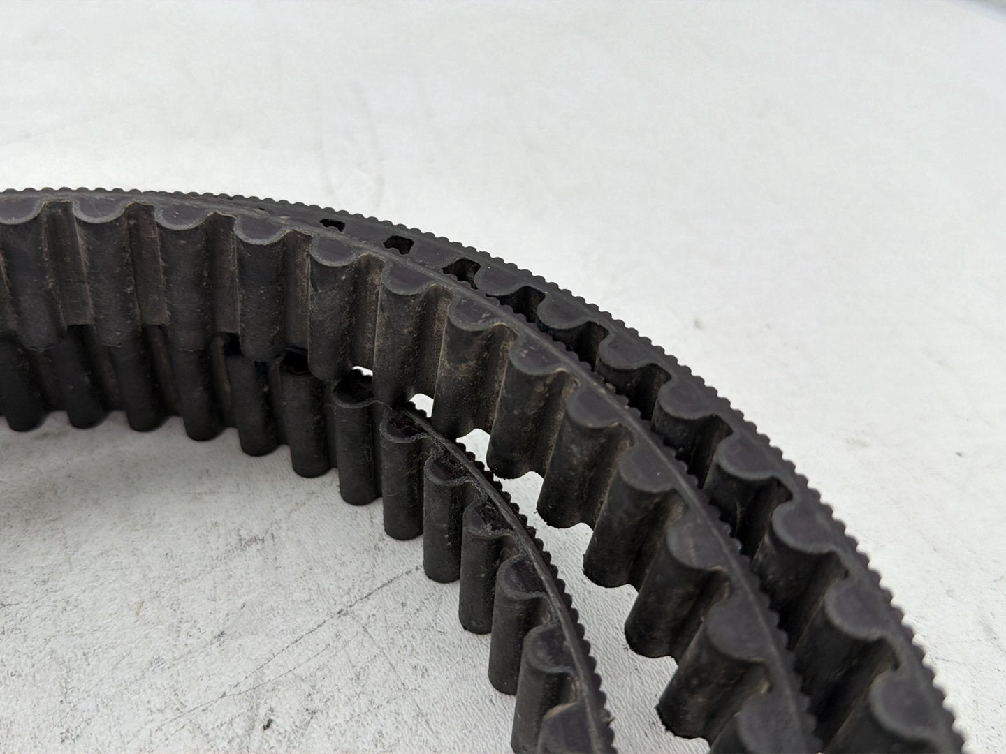 2006 Harley Sportster 1200 Custom XL1200C OEM Rear Drive Belt