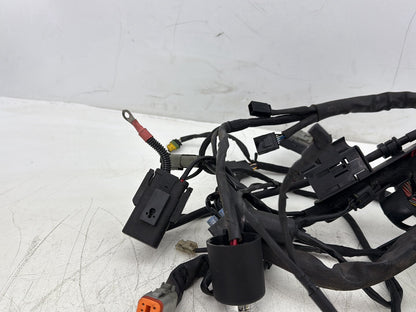 2006 Harley Sportster XL883L Low Main Wire Wiring Harness Ignition Switch NOKey