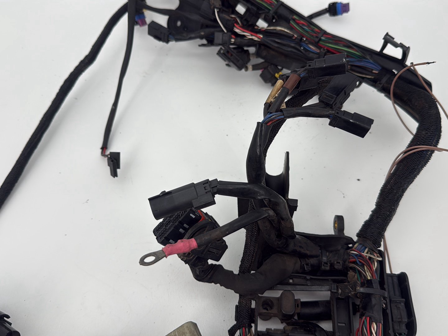 2014 Harley Sportster XL883L 883 SuperLow OEM Main Wire Wiring Harness Ignition Switch NOKey
