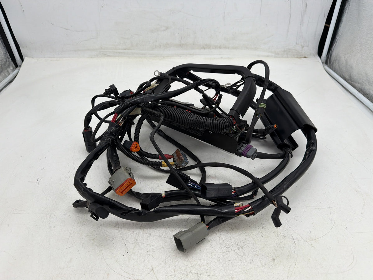 2001 Harley Softail Deuce FXSTD OEM Main Wire Wiring Harness Loom CARB