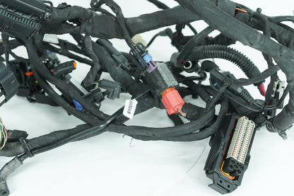 2018 - 2026 Harley-Davidson Softail Low Rider S Main Wire Wiring Harness Loom ABS 69202197