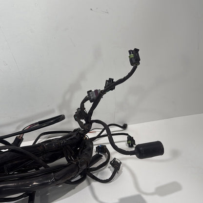 1999 - 2006 Harley-Davidson Touring Electra Glide Ultra Main Wire Wiring Harness Loom 70985-05
