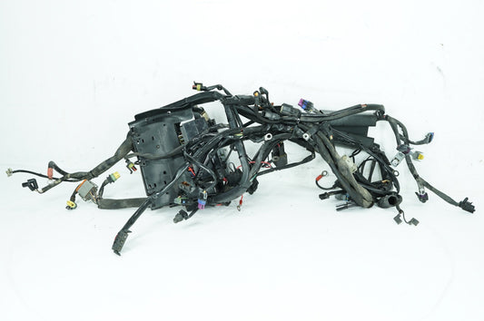 2007 - 2011 Harley-Davidson Softail Heritage Classic Main Wire Wiring Harness Loom 70431-08A