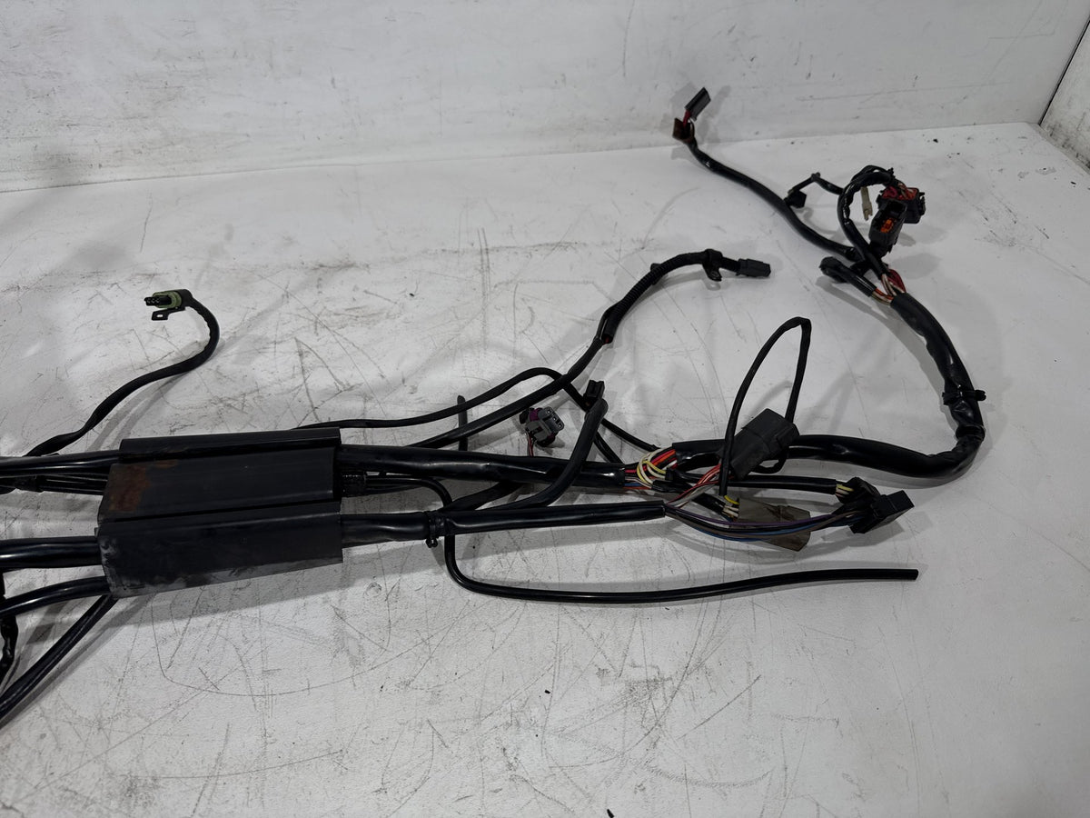 02 Harley Heritage Softail Classic FLSTC OEM Main Wire Wiring Harness Loom CARB