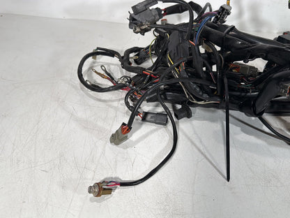 1999 - 2006 Harley-Davidson Touring Road King Police Main Wire Wiring Harness Loom 70985-01