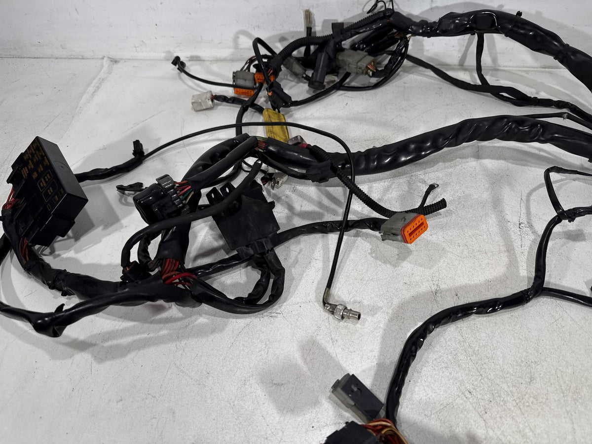 2002 Harley Electra Glide Touring Classic OEM Main Wire Wiring Harness Loom CARB