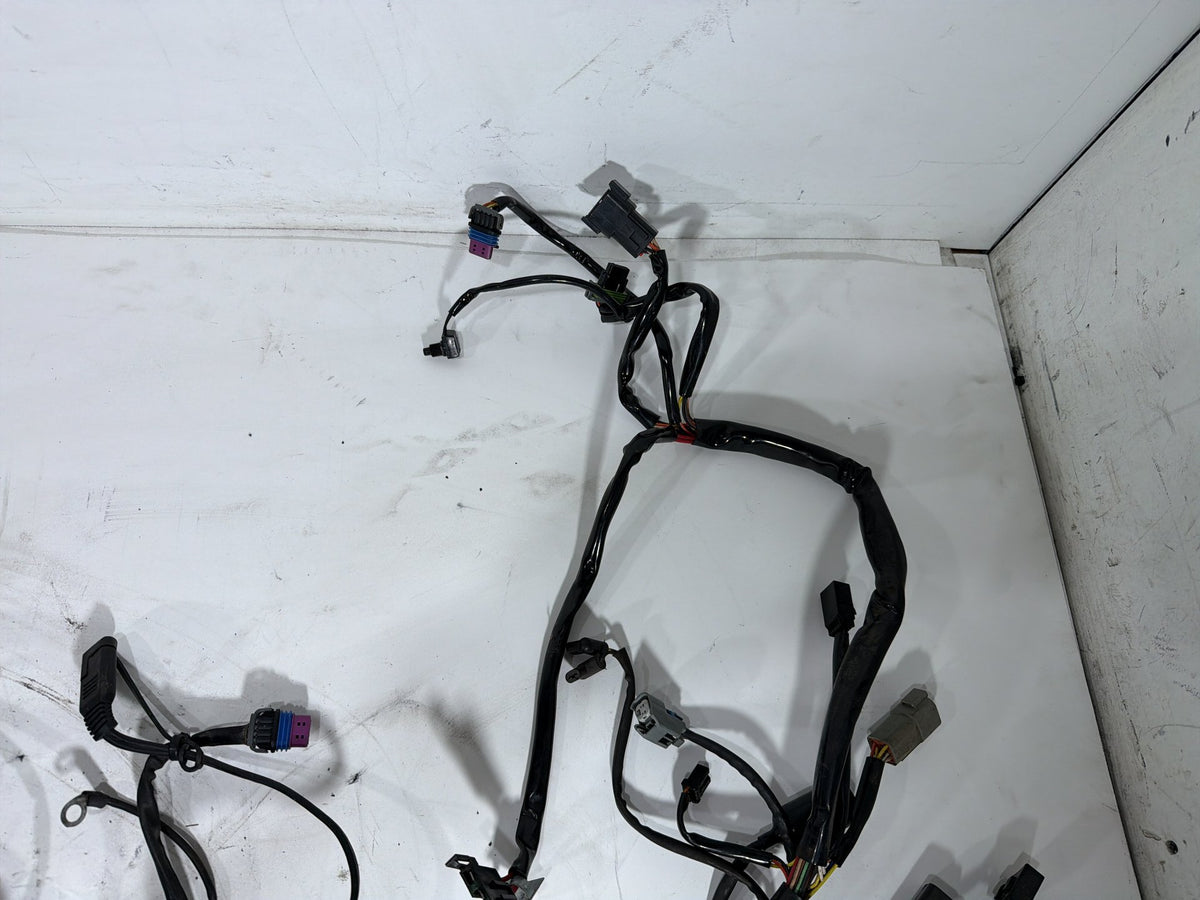2006 Harley Softail Deuce FXSTDI OEM Main Wire Wiring Harness Loom EFI