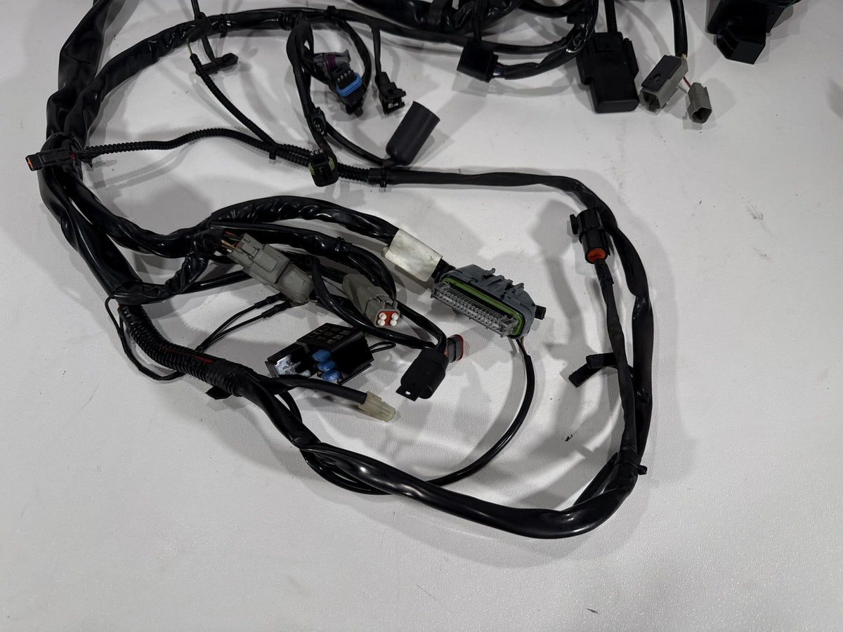 2004 Harley Road King Touring Classic OEM Main Wire Wiring Harness Loom