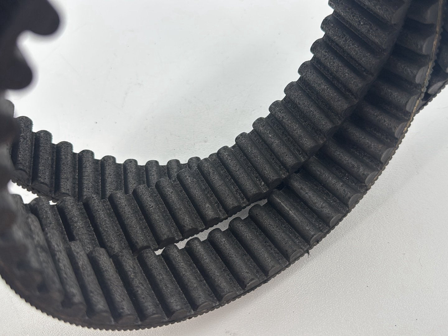 1999 - 2006 Harley-Davidson Dyna Low Rider Rear Drive Belt