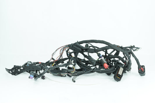 2018 - 2026 Harley-Davidson Softail Low Rider S Main Wire Wiring Harness Loom ABS 69202197