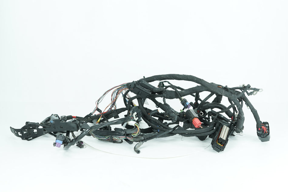 2018 - 2026 Harley-Davidson Softail Low Rider S Main Wire Wiring Harness Loom ABS 69202197