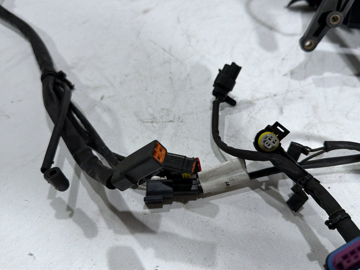 2007 Harley Dyna Street Bob FXDBI OEM Main Wire Wiring Harness Loom