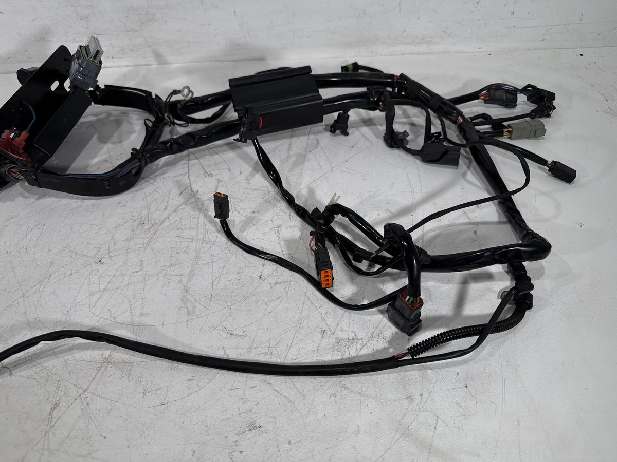 2003 Harley Softail Deuce FXSTDI OEM Main Wire Wiring Harness Loom EFI