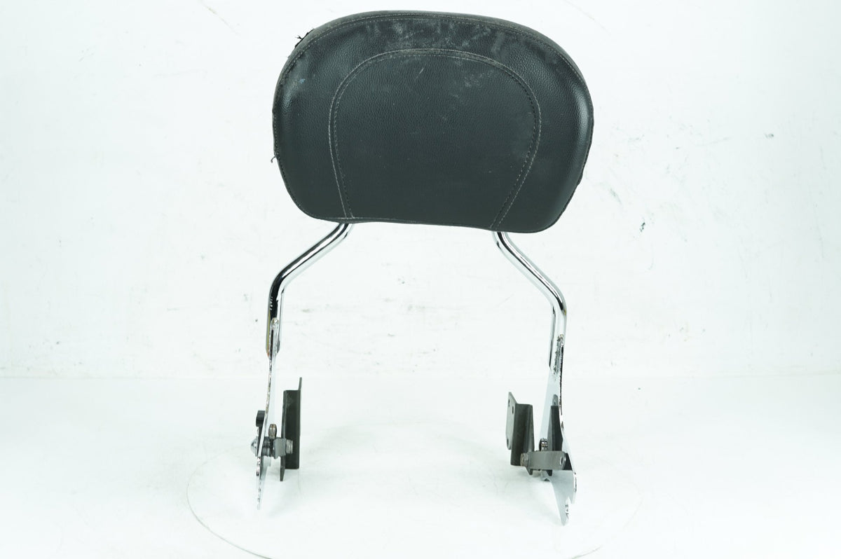 02 Harley Touring Road King Classic OEM Rear Sissy Bar Backrest Cushion Pad TORN